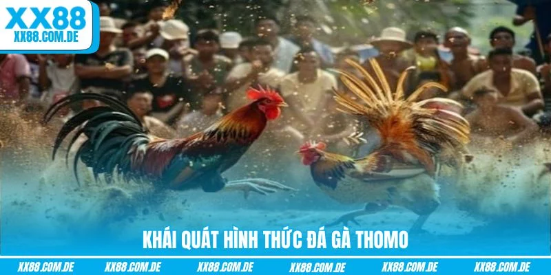 Khái quát hình thức đá gà Thomo
