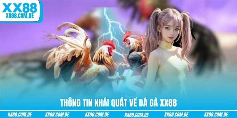 Thông tin khái quát về đá gà XX88