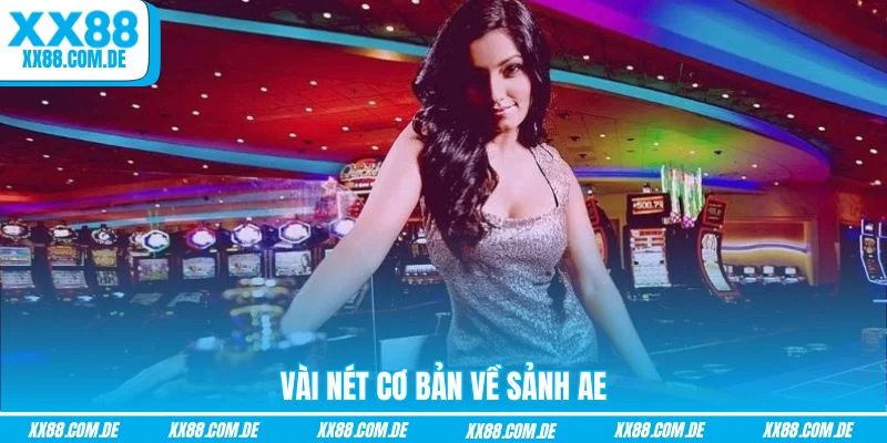 Vài nét cơ bản về sảnh AE